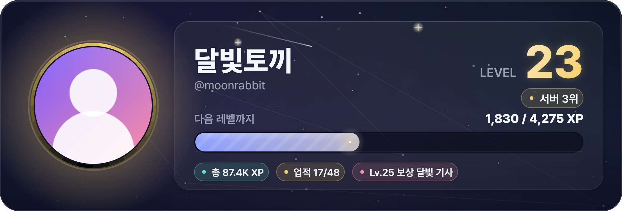 /레벨 카드 — 아바타 링, LEVEL 23, XP 진행바